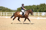 SBM_010667