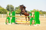 SBM_001829