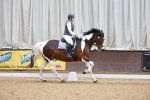 SBM_009449