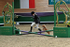 equiscot 3117