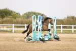 SBM_000988