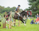 Dunblane show-379