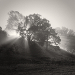 Breaking Light (square format)