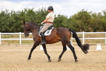 SBM_006628