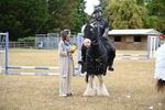 WJ6_9036
