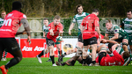 Guernsey Raiders v Rochford Hundred 2023-9