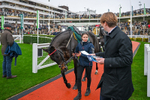 Race 5 portfolio