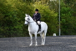 WJ5_8978