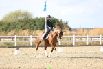 SBM_016031