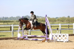 SBM_000234