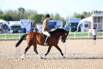 SBM_08729