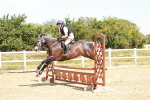 SBM_003795