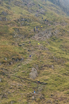 Peris Horseshoe-711