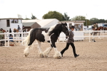 SBM_09304