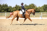 SBM_006592