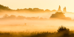 Early morning mist near Wimbourne Minster (2)