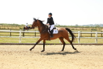 SBM_001630