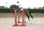 Unaffiliated Show Jumping portfolio