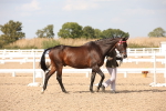SBM_07034