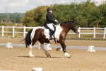 SBM_000444