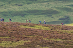 Ennerdale -8