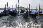 XT6I5161Venice 2011