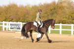 SBM_000949