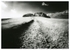 Chanctonbury Ring