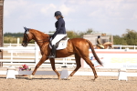 SBM_03665