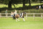 SBM_71572