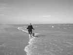 Camber Sands