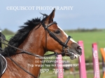 BPP_7931