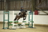 AJG_0795_1