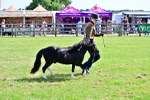 SBM_03479