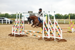 SBM_000294