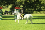 SBM_36306