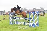 BPP_6561
