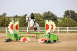 SBM_03515