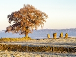 Nine Stones Close near Alport