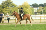 SBM_62491