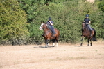 WJ6_7462