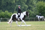 WJ7_6644