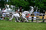 SBM_07767