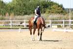 SBM_002696