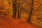 20121028-_MG_0692_HDR