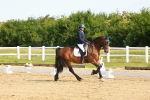 SBM_007035