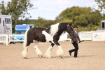 SBM_09334