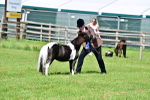 SBM_03676