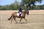 WJ6_8773
