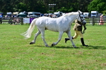 SBM_03858